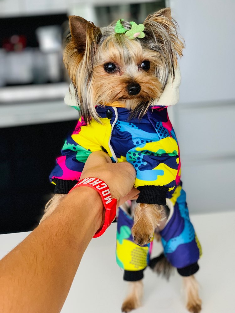 Pet Dog Clothes Winter Warm Dog Windproof Coat Thicken Pet Clothing For Dogs Costume Jumpsuit Hoodies Jacket Pet Supplies perros