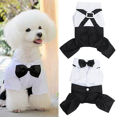 Hot! Pet Dog Cat Clothes Prince Tuxedo Bow Tie Suit Puppy Costume Jumpsuit Coat S-XXL 456fwr32 Dog Clothes Suit for dogs