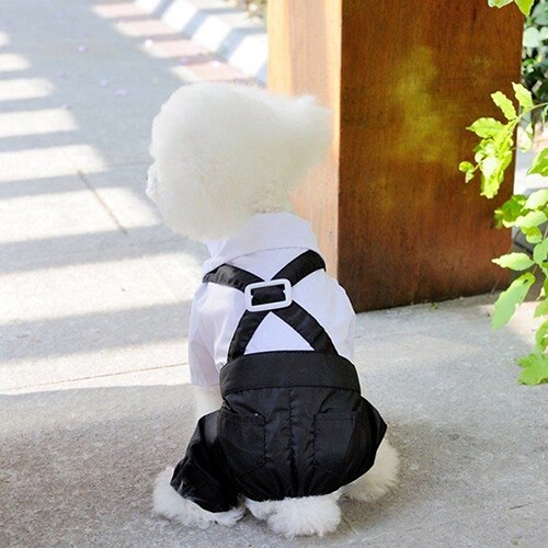 Hot! Pet Dog Cat Clothes Prince Tuxedo Bow Tie Suit Puppy Costume Jumpsuit Coat S-XXL 456fwr32 Dog Clothes Suit for dogs