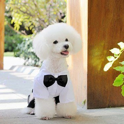 Hot! Pet Dog Cat Clothes Prince Tuxedo Bow Tie Suit Puppy Costume Jumpsuit Coat S-XXL 456fwr32 Dog Clothes Suit for dogs