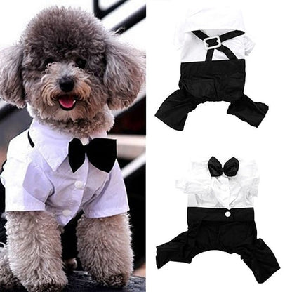 Hot! Pet Dog Cat Clothes Prince Tuxedo Bow Tie Suit Puppy Costume Jumpsuit Coat S-XXL 456fwr32 Dog Clothes Suit for dogs