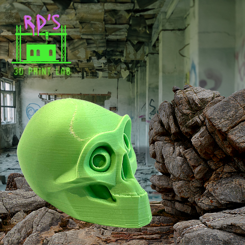 CRAZY EYES SKULL 3D PRINTED FIGURE