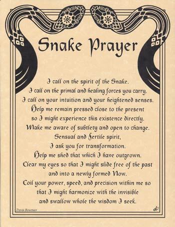 Snake Prayer poster