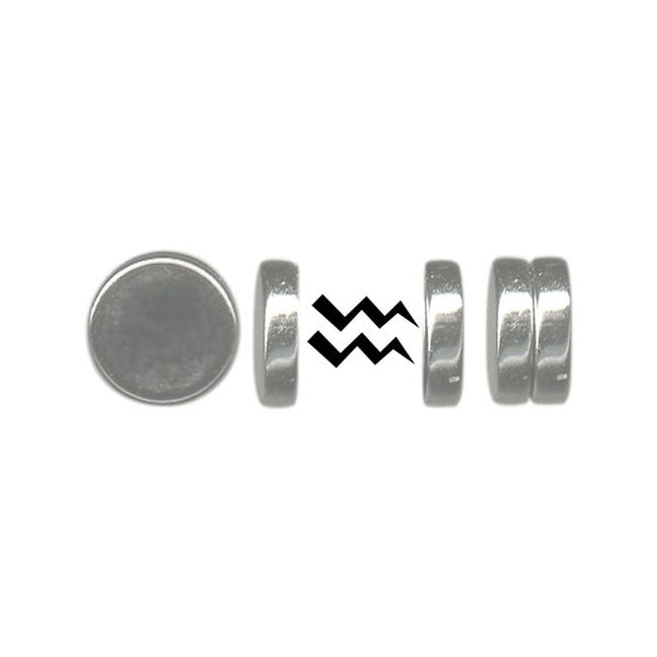 Stainless Steel Magnetic Disc Earrings