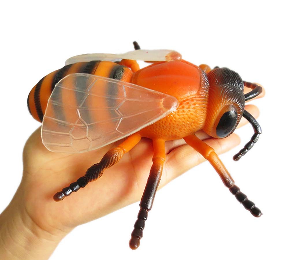 Large Simulated Insect Figurines Toy Halloween Joke Trick Kids Educational Model, 6 Pcs