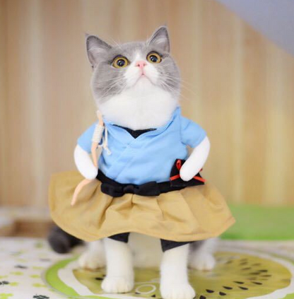 Pet Dog Cat Transformed Clothes Upright Clothes Halloween Pet Dress