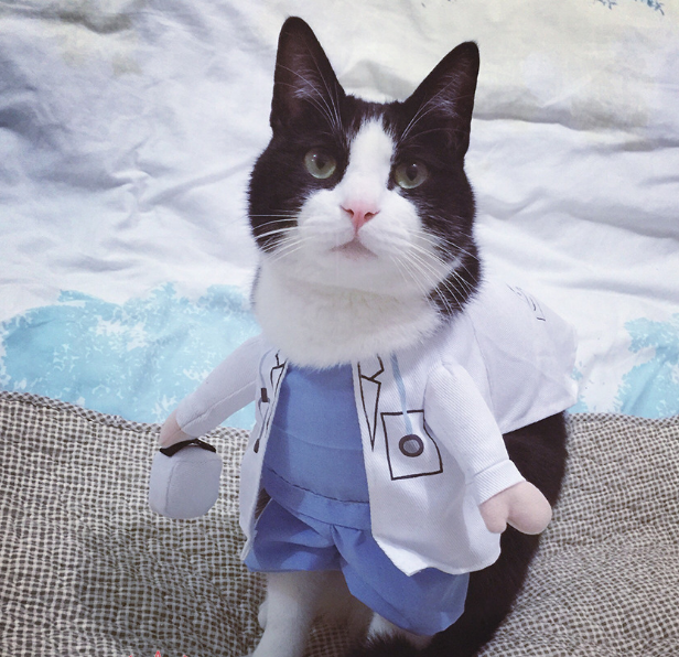Pet Dog Cat Transformed Clothes Upright Clothes Halloween Pet Dress